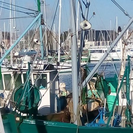 Appart'En Ville Paimpol Exterior photo